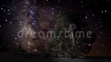 银河系夜空背景下的孤树